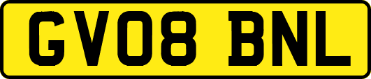 GV08BNL