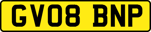 GV08BNP