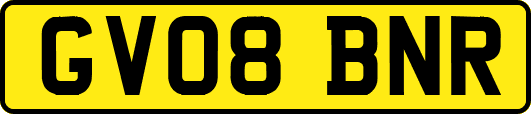GV08BNR