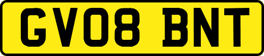 GV08BNT