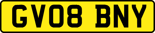 GV08BNY