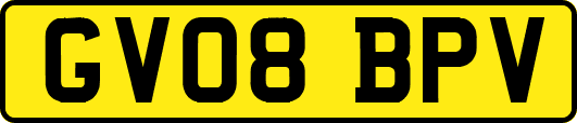 GV08BPV