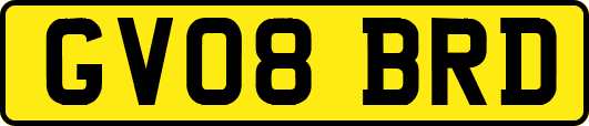 GV08BRD