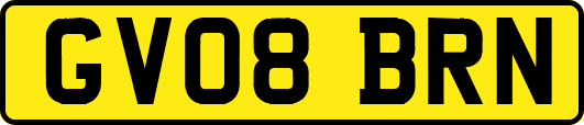 GV08BRN