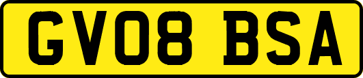 GV08BSA