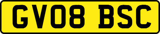 GV08BSC