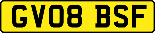 GV08BSF