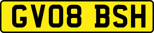 GV08BSH