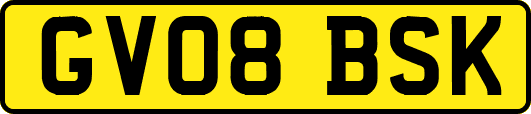 GV08BSK