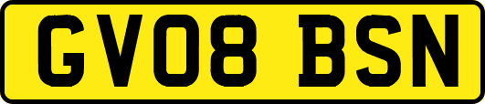 GV08BSN
