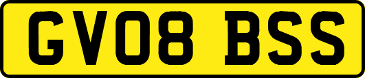 GV08BSS