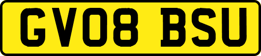 GV08BSU