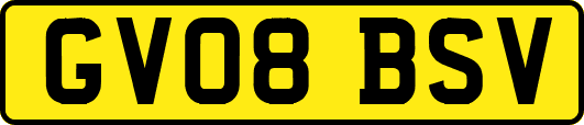 GV08BSV