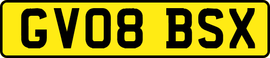 GV08BSX