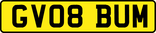 GV08BUM