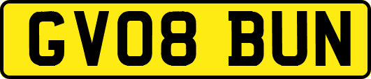 GV08BUN