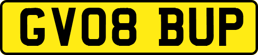 GV08BUP