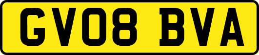 GV08BVA