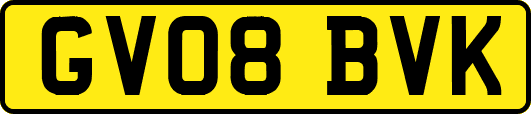 GV08BVK