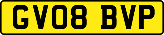 GV08BVP