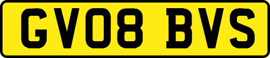 GV08BVS