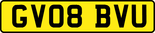 GV08BVU