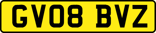 GV08BVZ