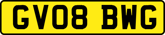GV08BWG