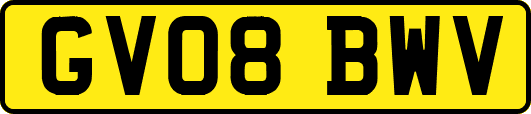 GV08BWV