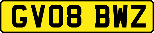 GV08BWZ