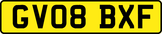 GV08BXF