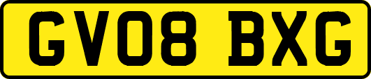 GV08BXG