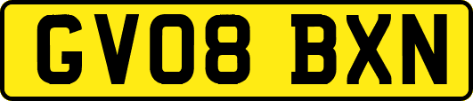 GV08BXN