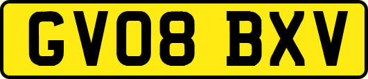 GV08BXV