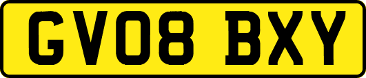 GV08BXY