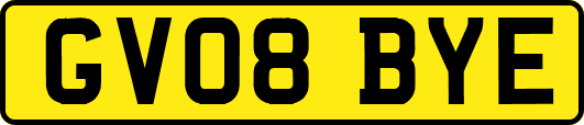 GV08BYE