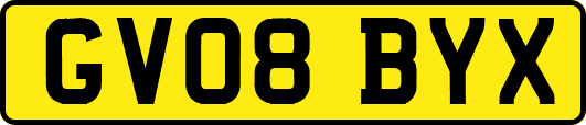 GV08BYX