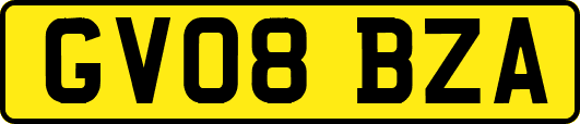 GV08BZA
