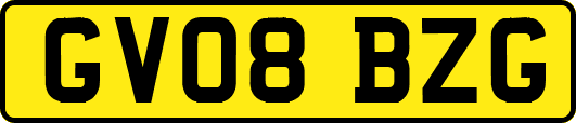 GV08BZG