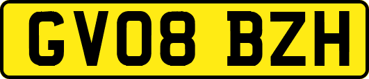 GV08BZH