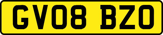 GV08BZO
