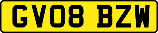 GV08BZW