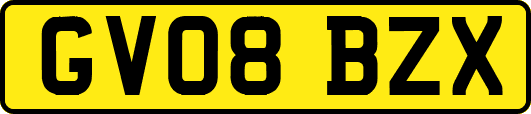 GV08BZX