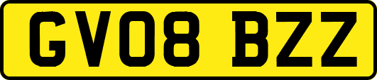 GV08BZZ