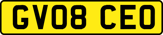 GV08CEO