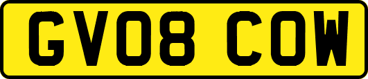 GV08COW