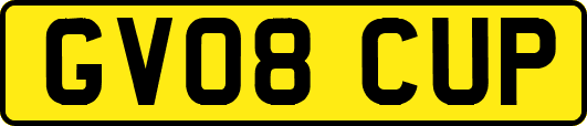 GV08CUP