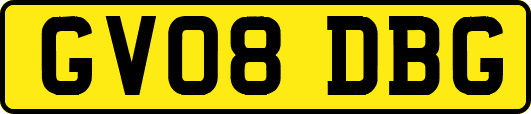 GV08DBG