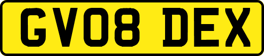 GV08DEX