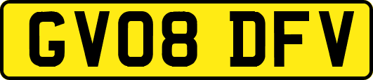 GV08DFV
